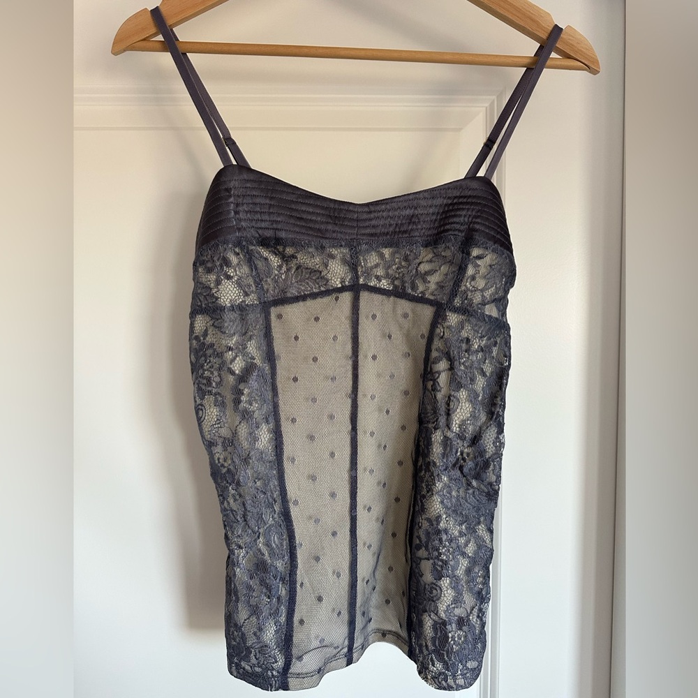 Sheer Lace Chemise